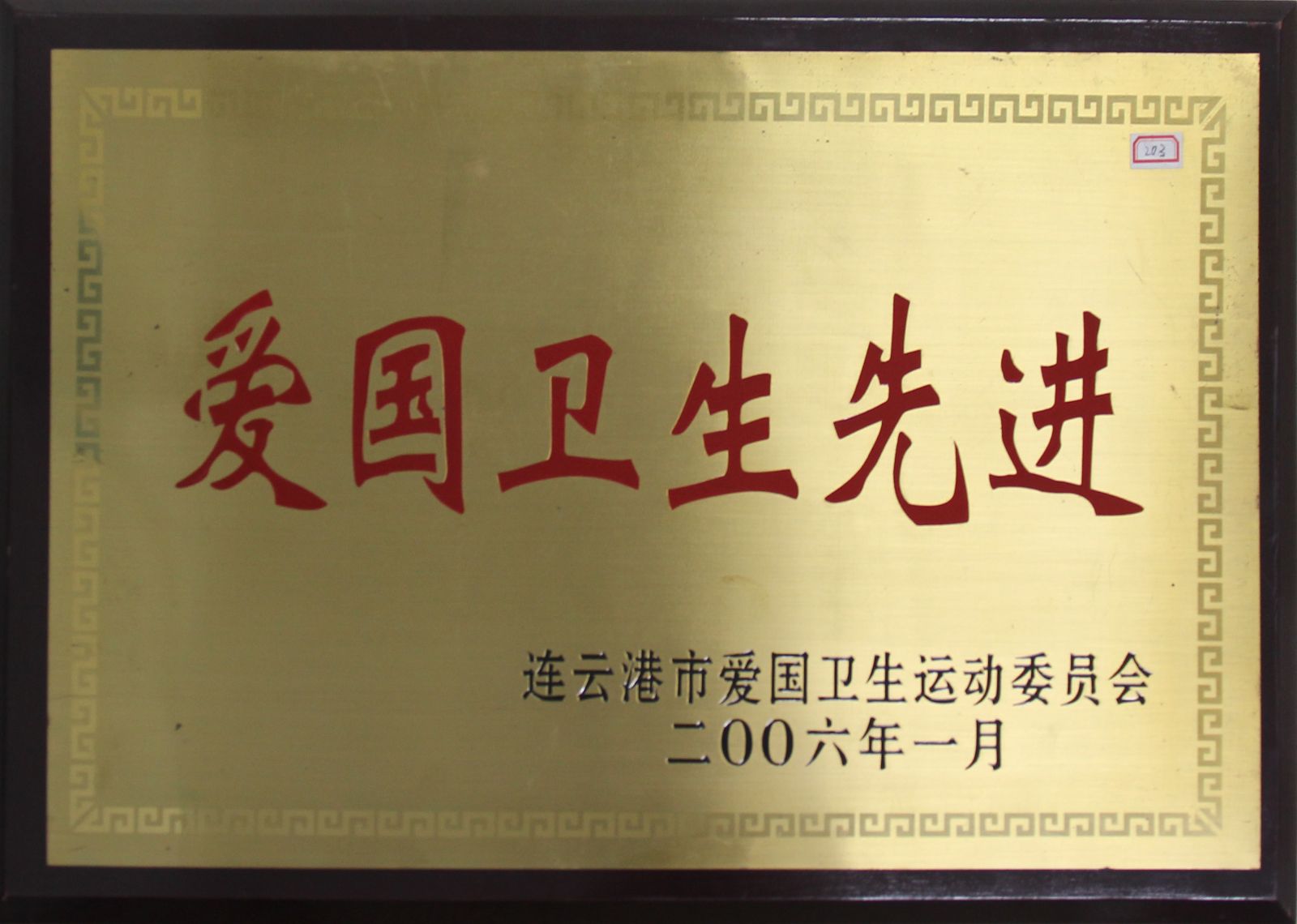 公司榮獲“2006年愛(ài)國(guó)衛(wèi)生先進(jìn)”稱號(hào)